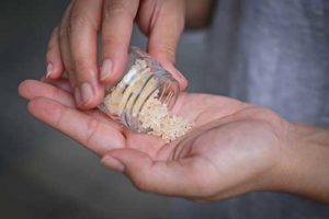 a sample of flakka represents flakka addiction treatment program