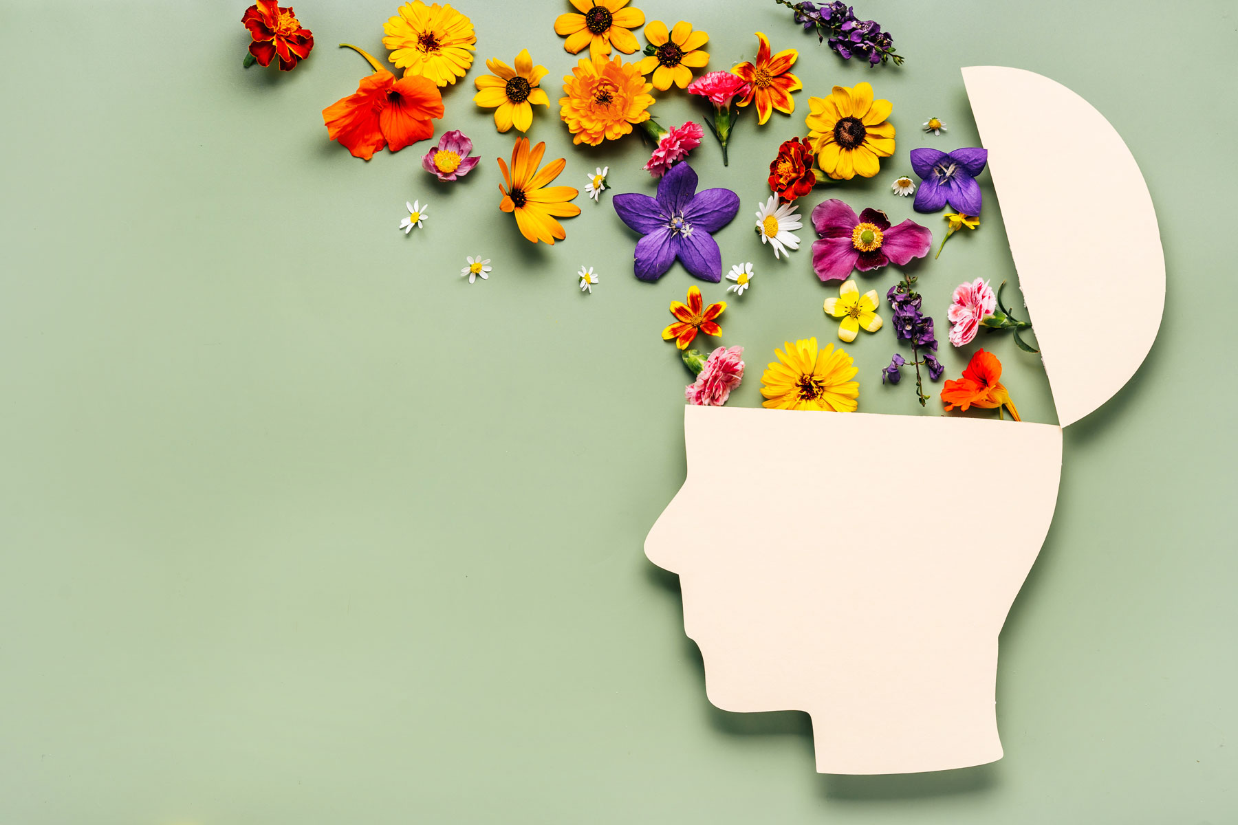 flowers coming out of a wooden head cutout to show mental health awareness month