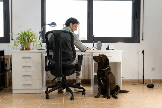 Peaceful home office setup representing low-stress remote jobs for people with social anxiety.